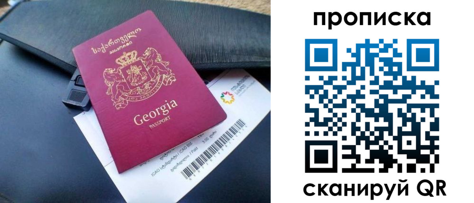 прописка поиск в Новозыбкове